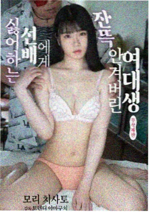 上杉世界观设定集档案封面
